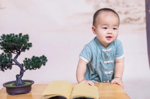 包生男孩正规公司宝宝多久断奶